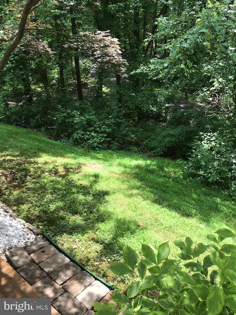 1644 Barnstead Drive Reston, VA 20194 - Photo 23 of 23 a view of a lush green space