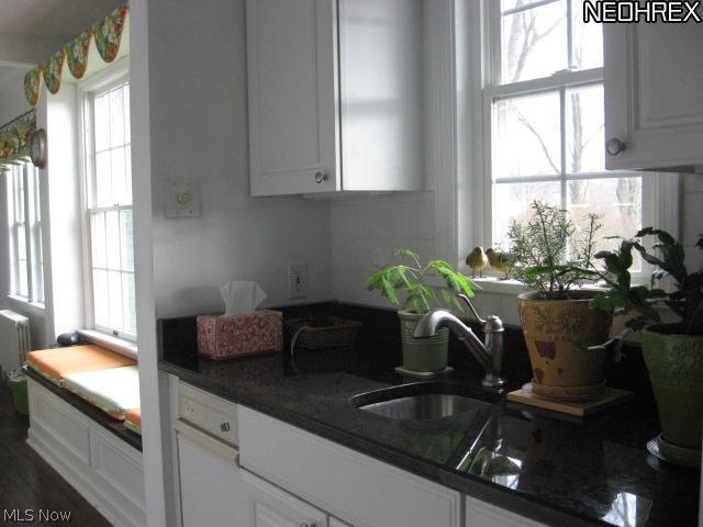 7407 Cedar Road Chesterland, OH 44026 - Photo 17 of 25 Extra sink with granite counter between the kitchen & dining room.