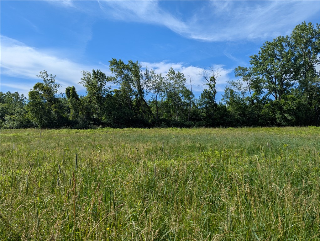 3512 Densmore Road Albion, NY 14411 - Photo 15 of 19