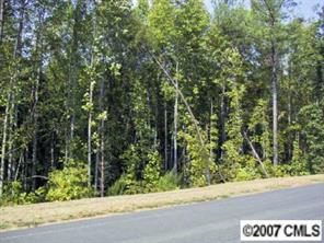 7168 Bay Ridge Drive Denver, NC 28037 - Photo 4 of 6 Gallery Image 4