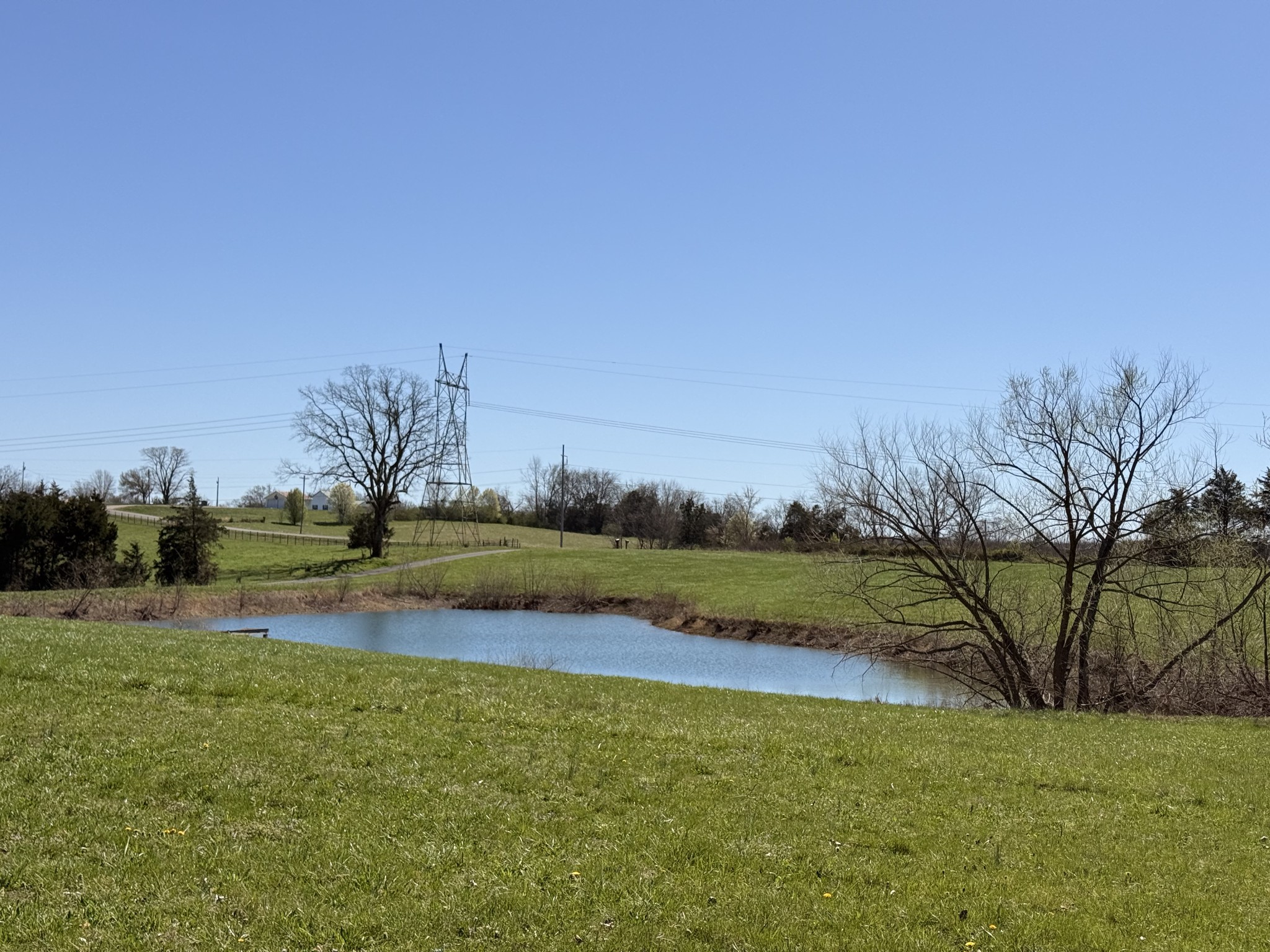 1585 Jones Creek Road Dickson, TN 37055 - Photo 11 of 79