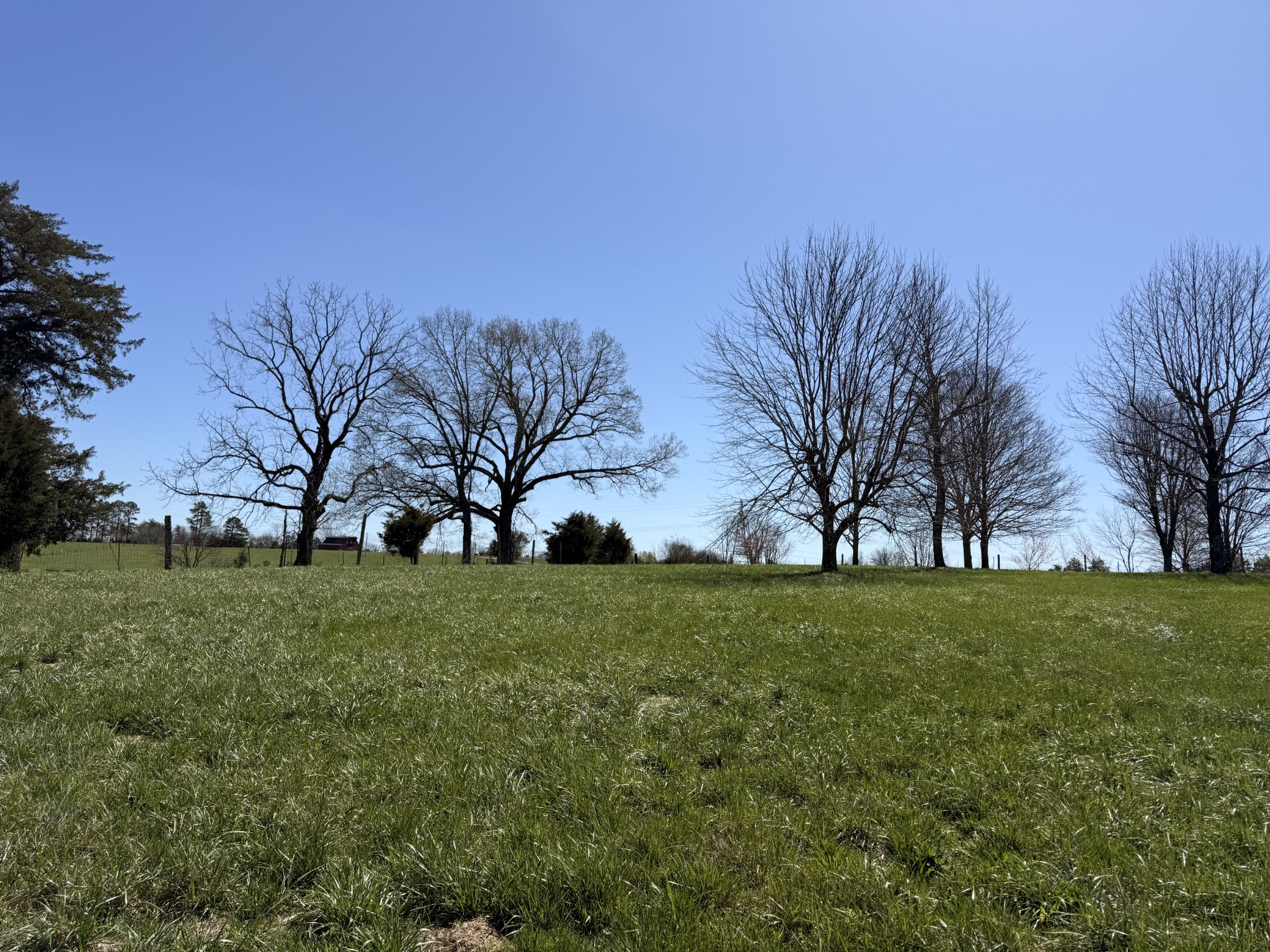 1585 Jones Creek Road Dickson, TN 37055 - Photo 71 of 79