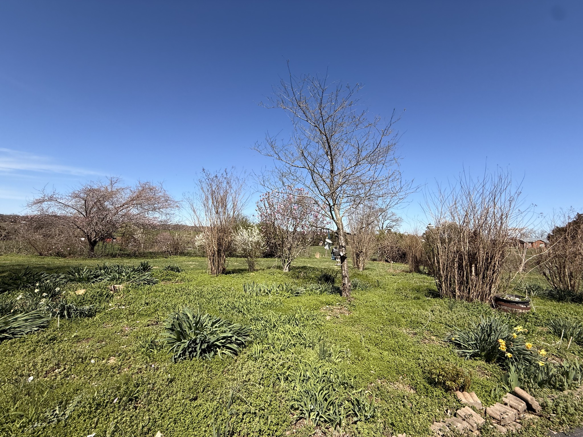 1585 Jones Creek Road Dickson, TN 37055 - Photo 72 of 79