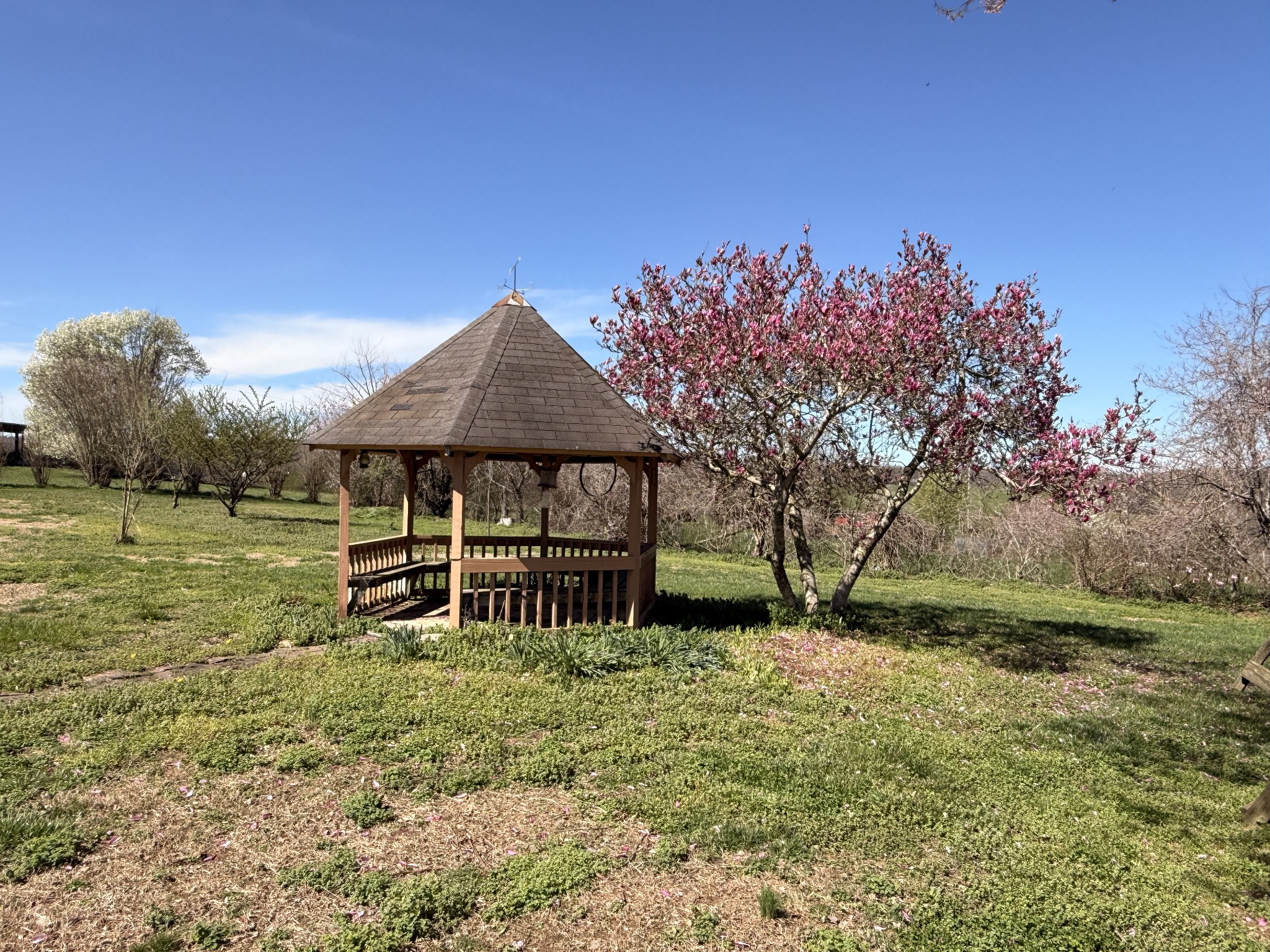 1585 Jones Creek Road Dickson, TN 37055 - Photo 73 of 79