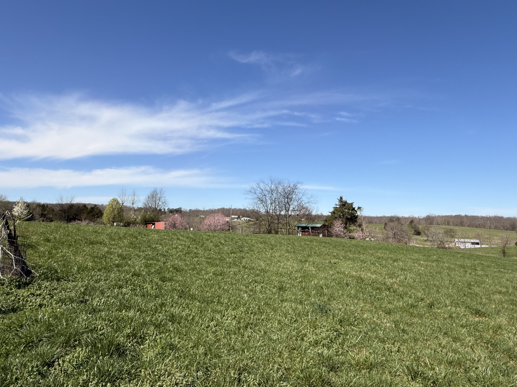 1585 Jones Creek Road Dickson, TN 37055 - Photo 78 of 79