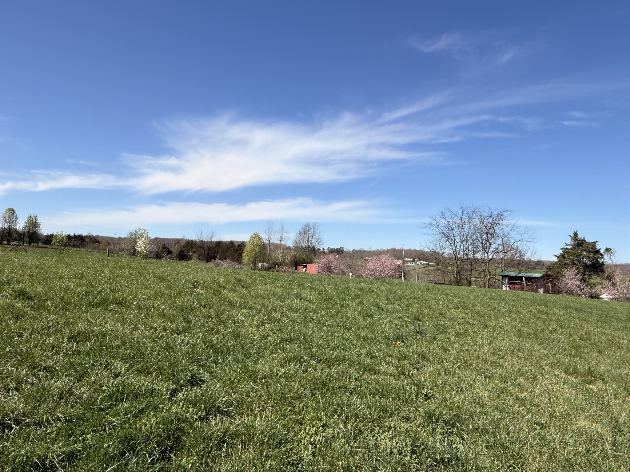 1585 Jones Creek Road Dickson, TN 37055 - Photo 79 of 79