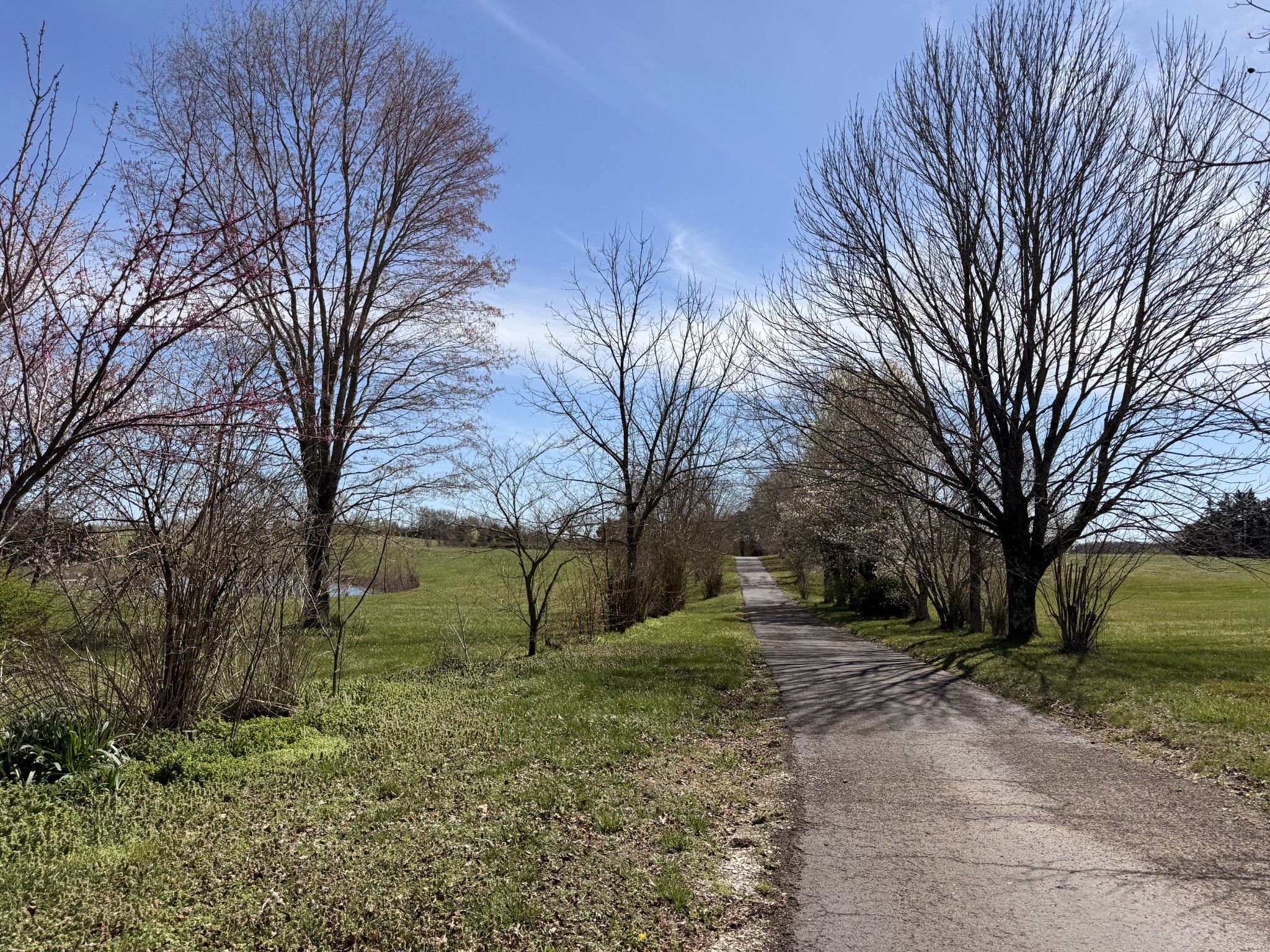 1585 Jones Creek Road Dickson, TN 37055 - Photo 8 of 79