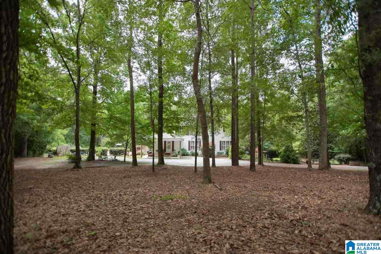678 Sunset Road Pell City, AL 35128 - Photo 35 of 37