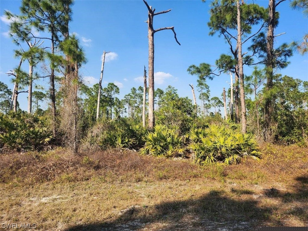 1131 Plantation Road Lehigh Acres, FL 33974 - Photo 2 of 3 a view of a yard with plants