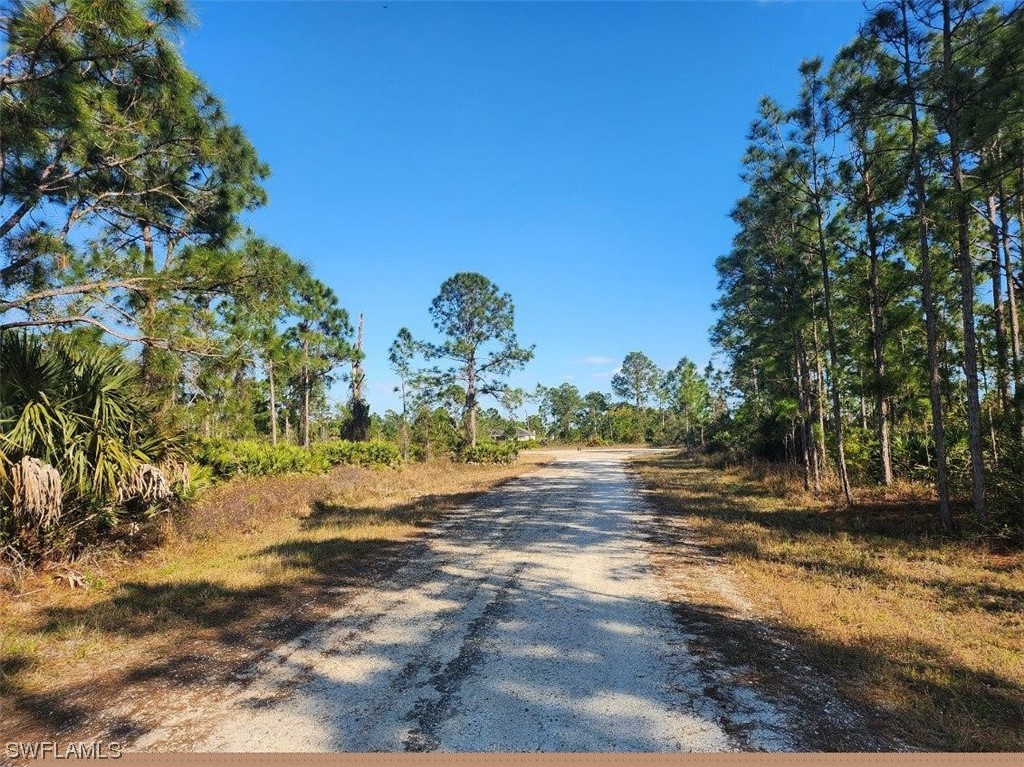 1131 Plantation Road Lehigh Acres, FL 33974 - Photo 3 of 3