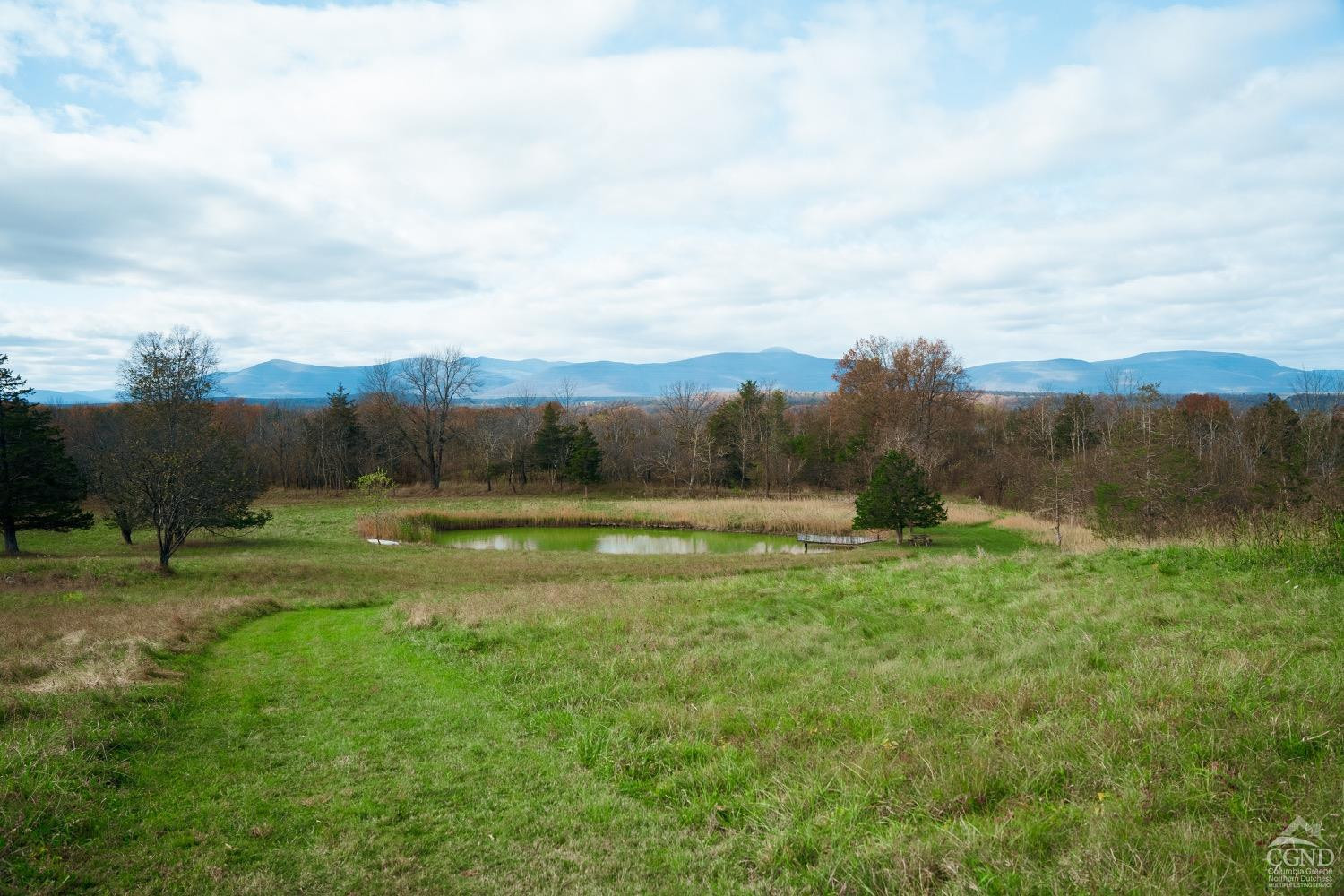 145 East Camp Road Germantown, NY 12526 - Photo 36 of 37 a view of grassy field with trees