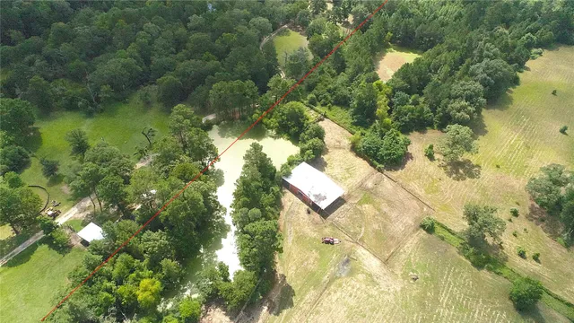 a view of a yard with plants