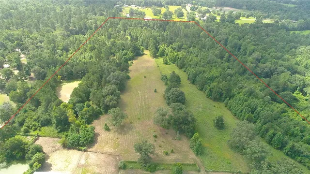 a close up of a plant in a garden