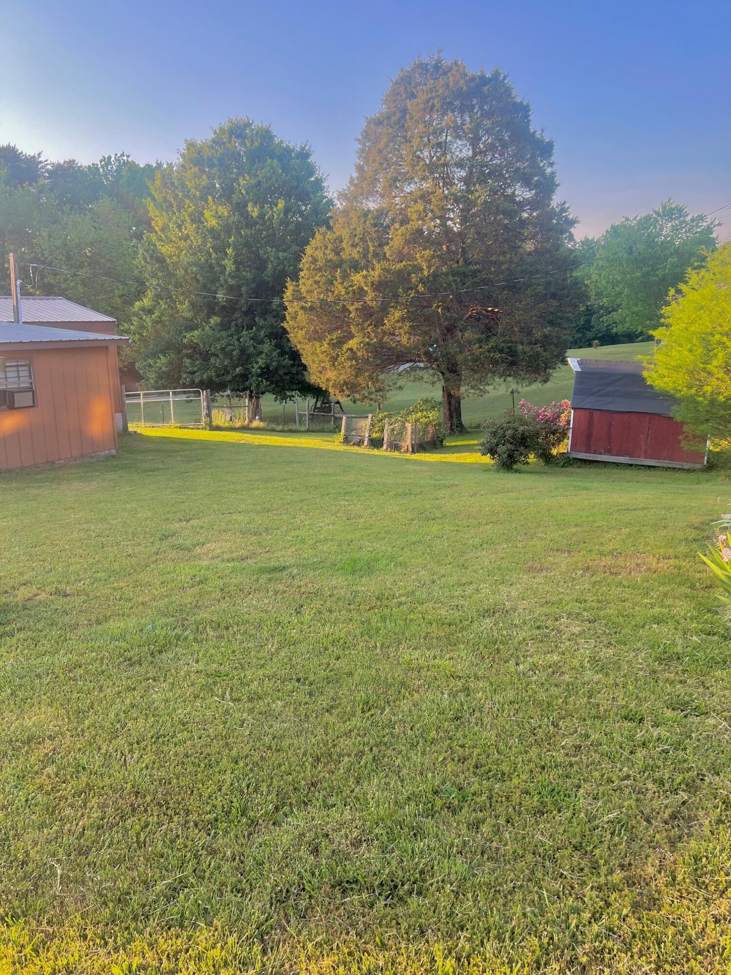 110 Gibson Road Madisonville, TN 37354 - Photo 7 of 32 a view of a field with an trees