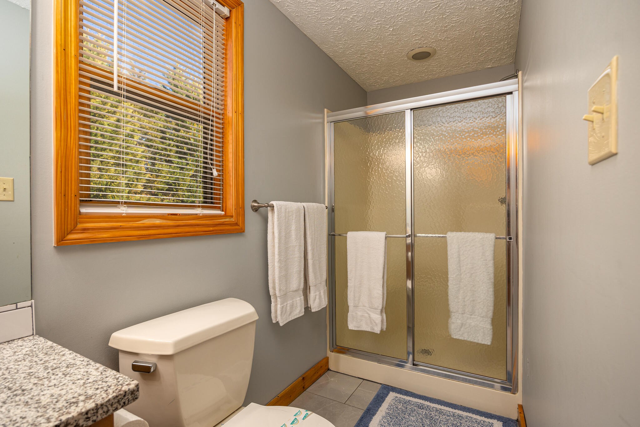 2809 Seth Road Pigeon Forge, TN 37863 - Photo 18 of 31 Gallery Image 18