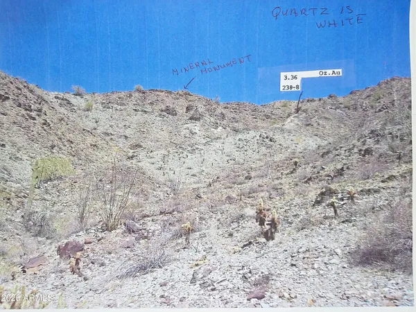 a view of a dry yard