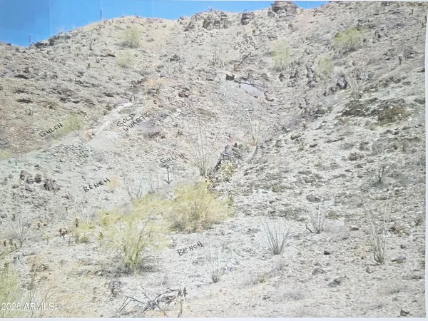 a view of a dry yard