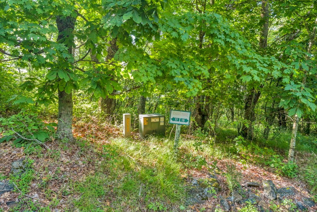 Lot 17 Crown Point Road West Jefferson, NC 28694 - Photo 13 of 21