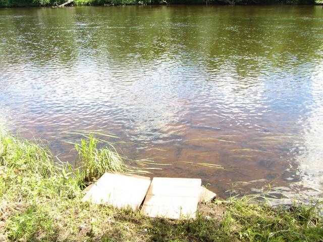 7459 Wolf Road Lake Tomahawk, WI 54539 - Photo 10 of 14 Gallery Image 10