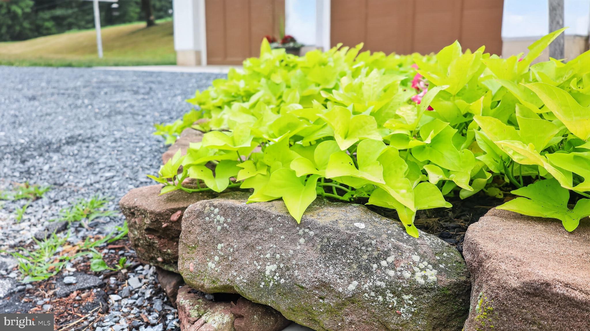 475 South Cocalico Road Denver, PA 17517 - Photo 69 of 91 Lush greenery framing a rustic stone edge.
