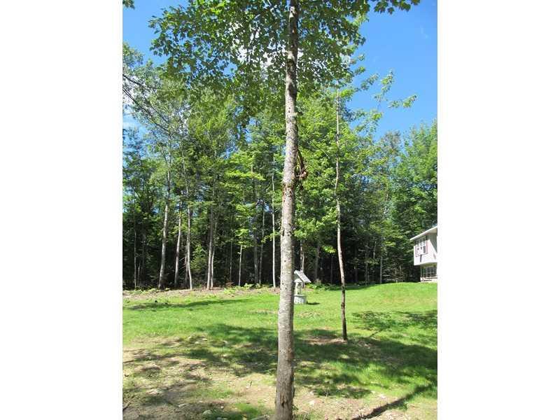 562 Bog Road Hermon, ME 04401 - Photo 19 of 25 Yard/Garden.