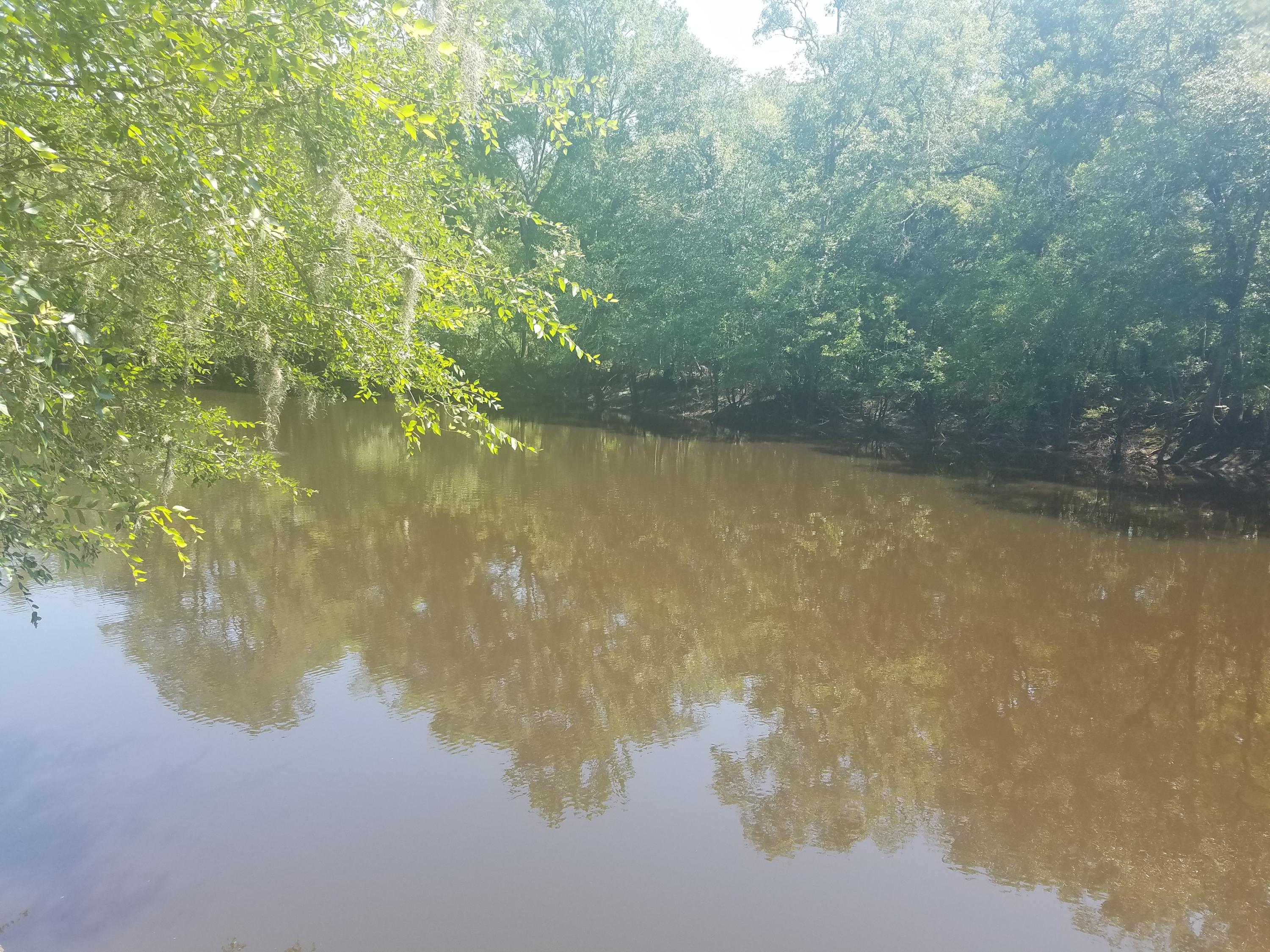 119 Gator Cove Ridgeville, SC 29472 - Photo 1 of 10 119 gator cove water 2