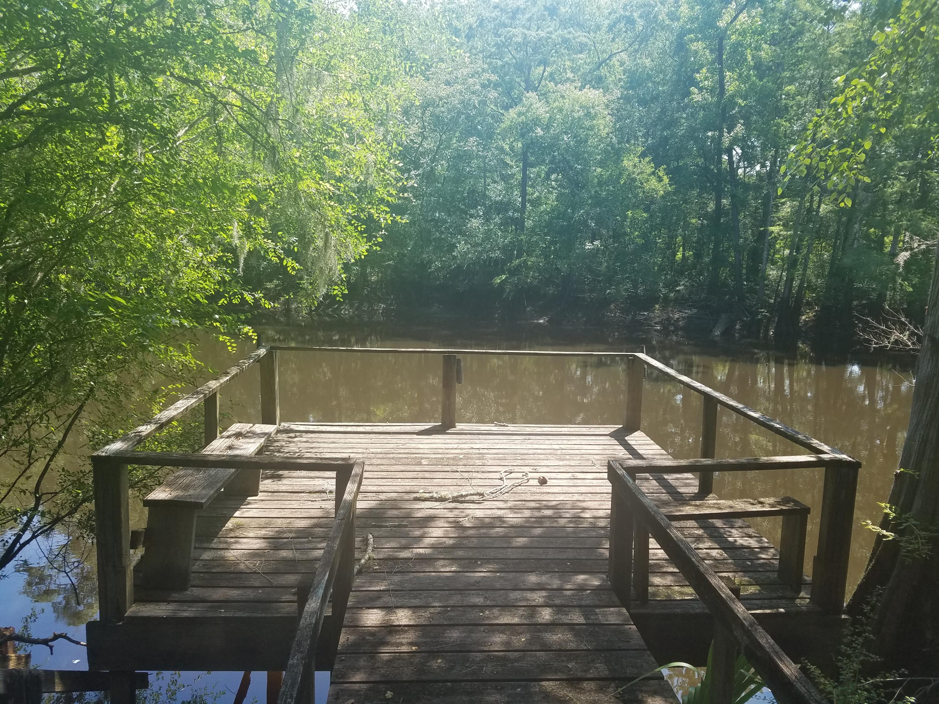 119 Gator Cove Ridgeville, SC 29472 - Photo 2 of 10 119 Gator dock