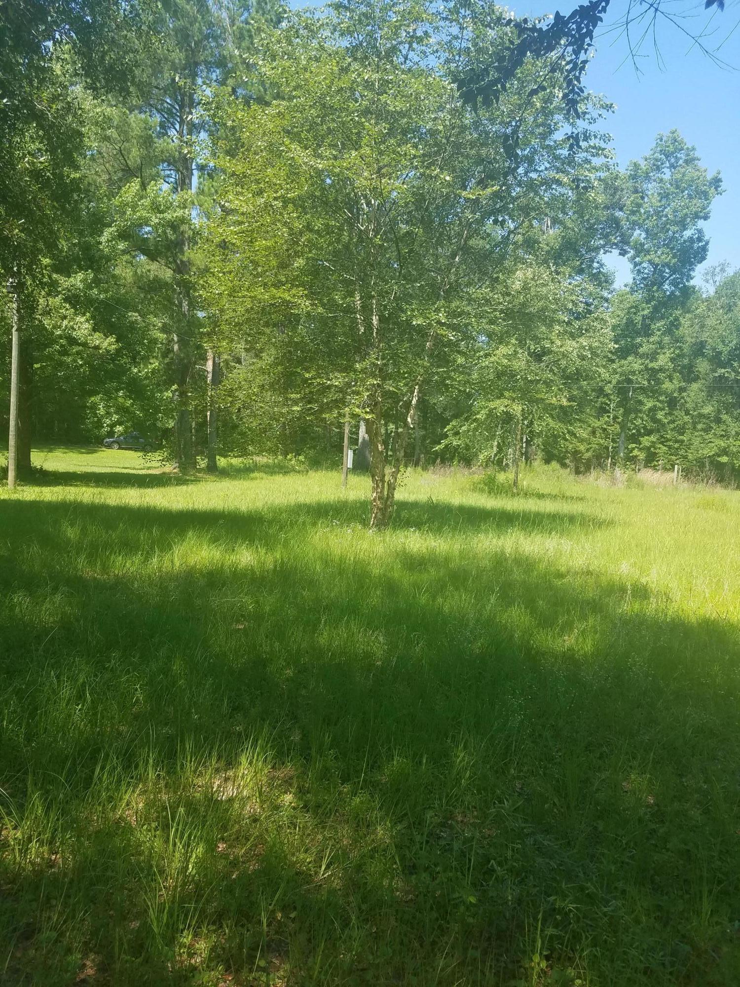 119 Gator Cove Ridgeville, SC 29472 - Photo 3 of 10 119 Gator cove lot
