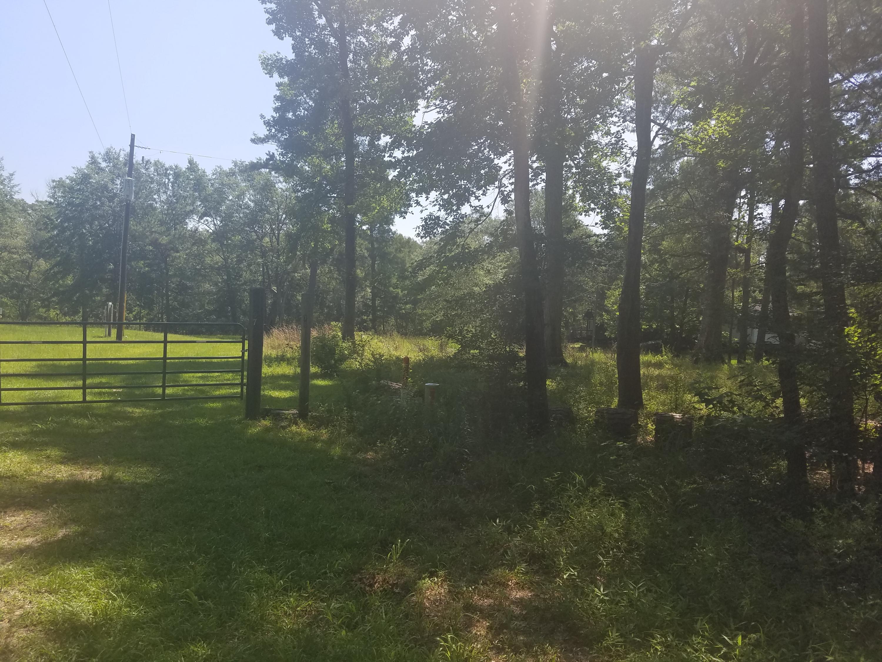 119 Gator Cove Ridgeville, SC 29472 - Photo 4 of 10 119 Gator cove lot