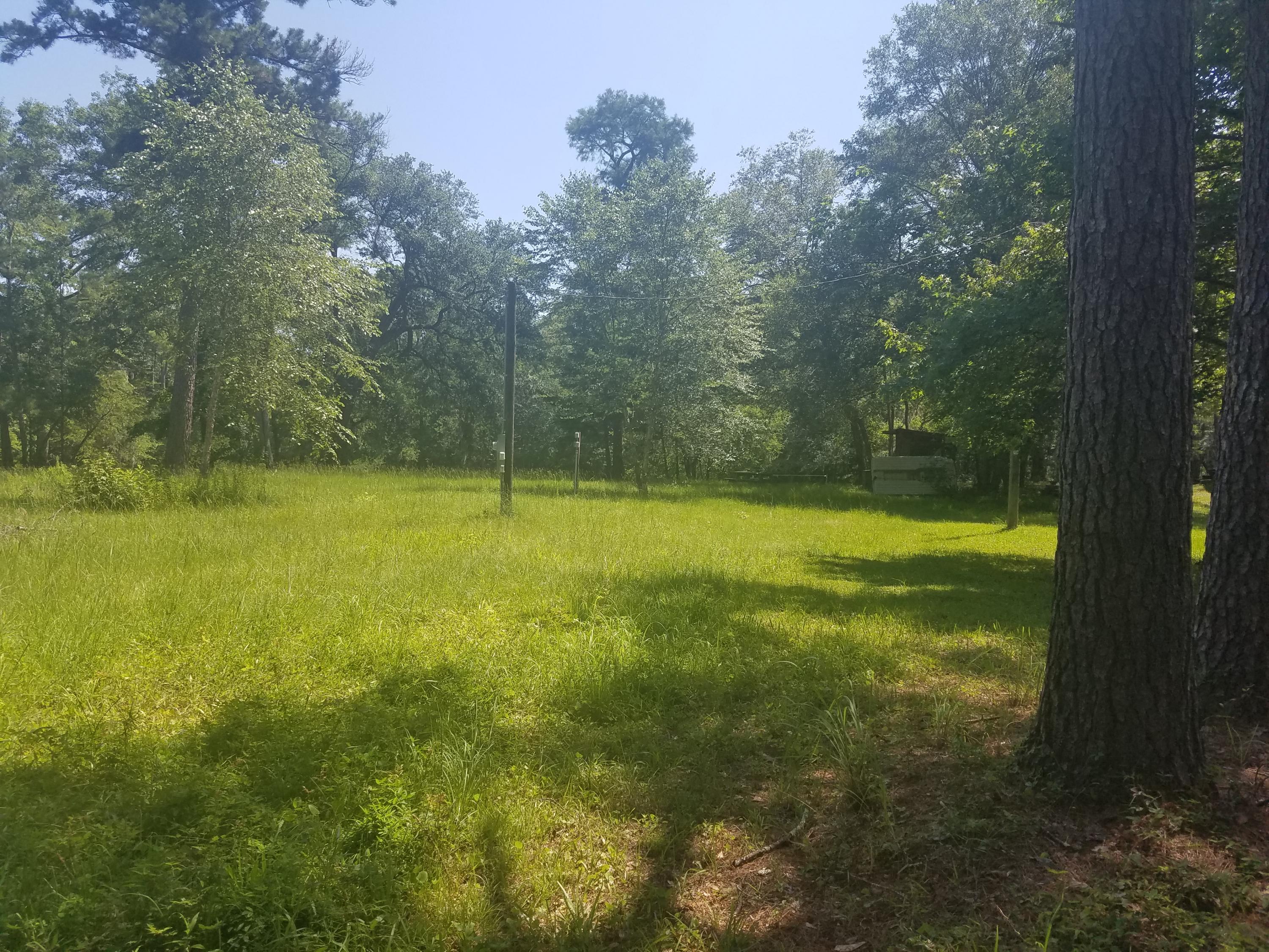119 Gator Cove Ridgeville, SC 29472 - Photo 5 of 10 119 Gator cove lot view
