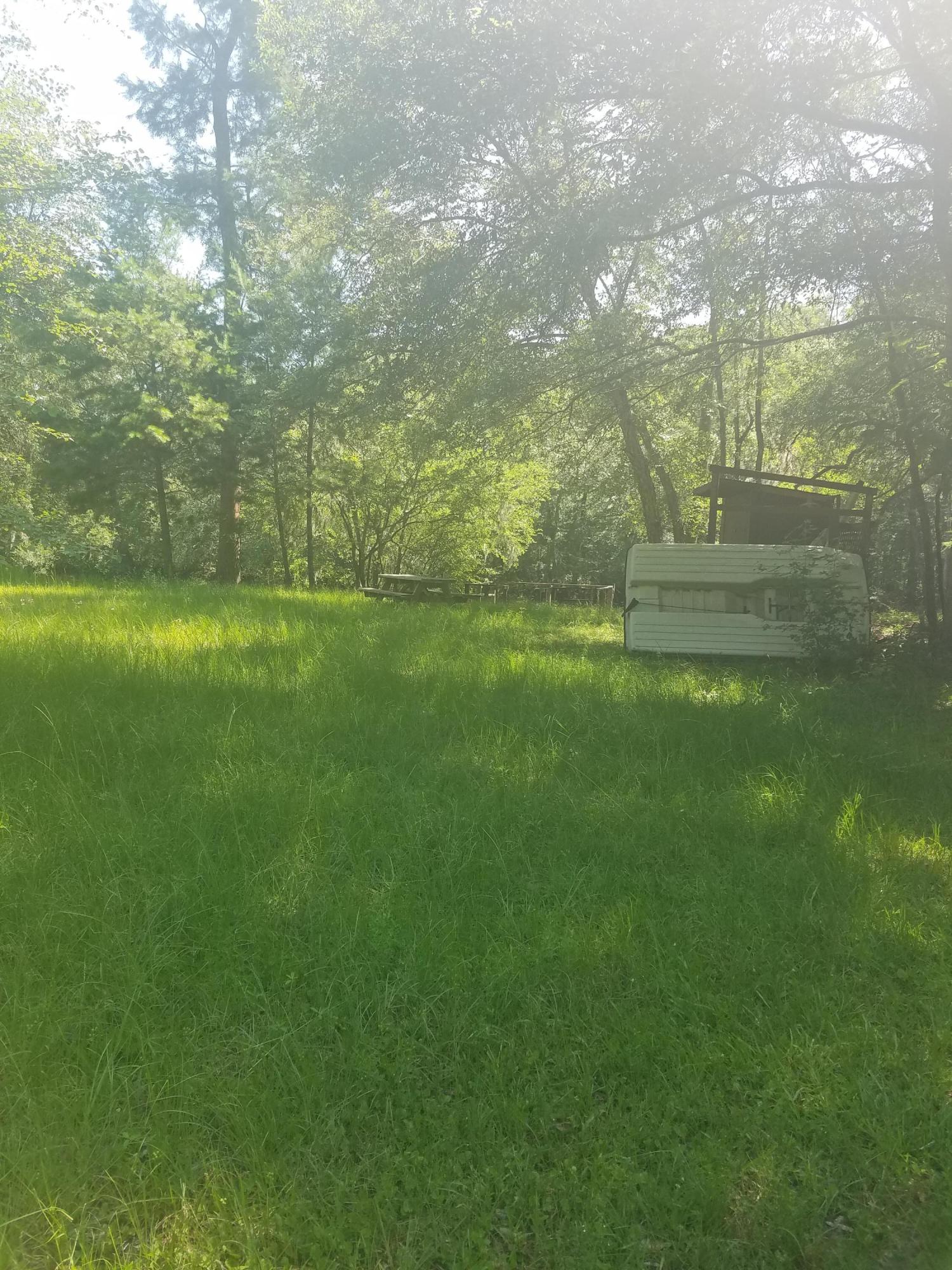 119 Gator Cove Ridgeville, SC 29472 - Photo 8 of 10 119 Gator picnic table