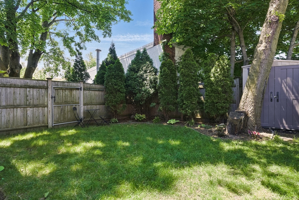 151 Sherman Street Cambridge, MA 02140 - Photo 21 of 35 a view of a backyard with a barn and large trees