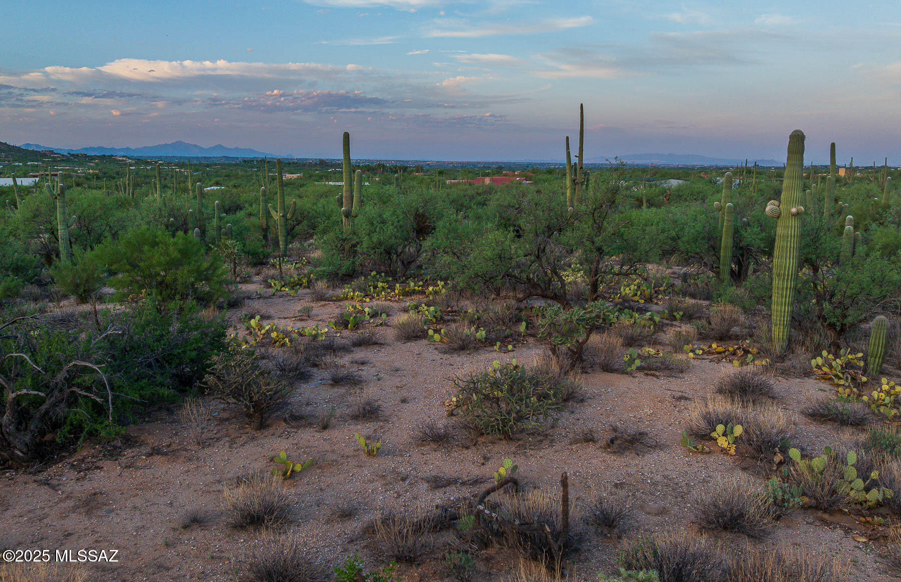 12550 East Horsehead Road Tucson, AZ 85749 - Photo 23 of 29