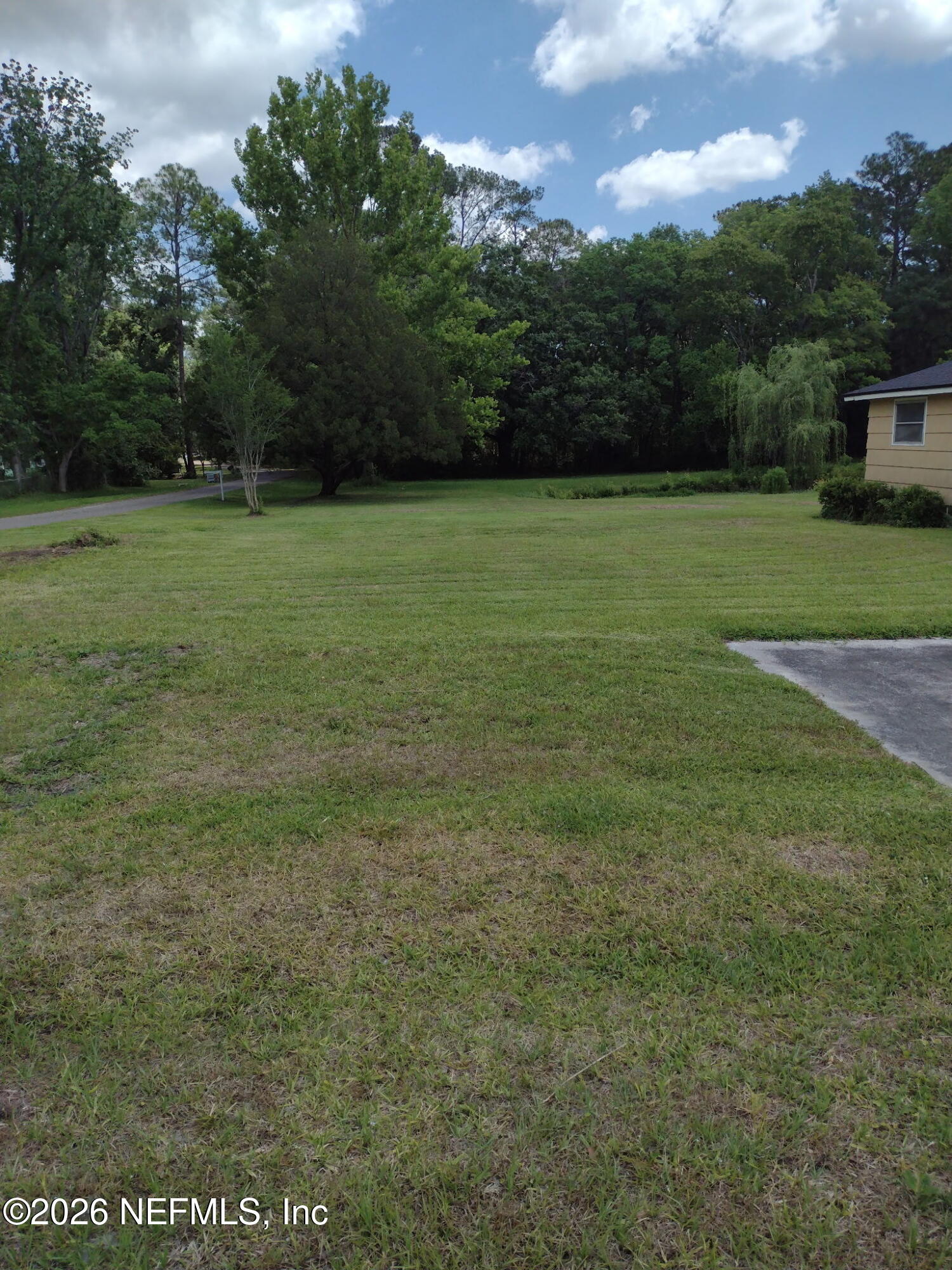 3027 Walter Road Jacksonville, FL 32254 - Photo 3 of 31 Front Lawn