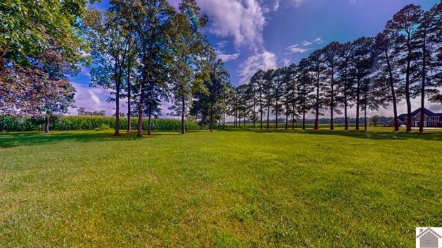 4214 Byars Road Hazel, KY 42049 - Photo 10 of 17 132783-2685dcd0-e578-491e-b218-a4c22110d