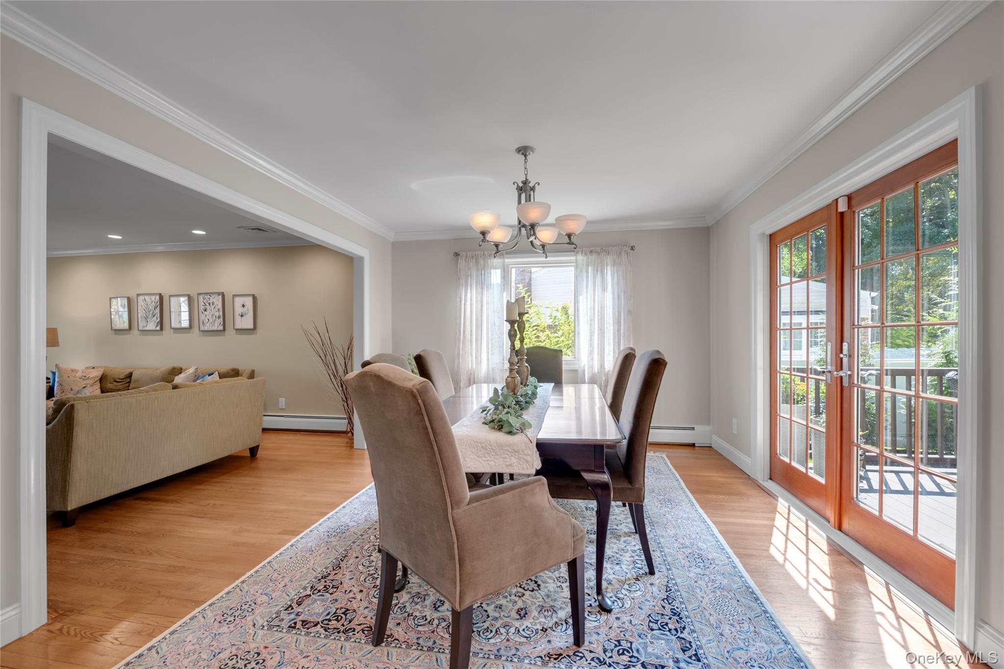67 Reed Drive Roslyn, NY 11576 - Photo 7 of 28 Gallery Image 7
