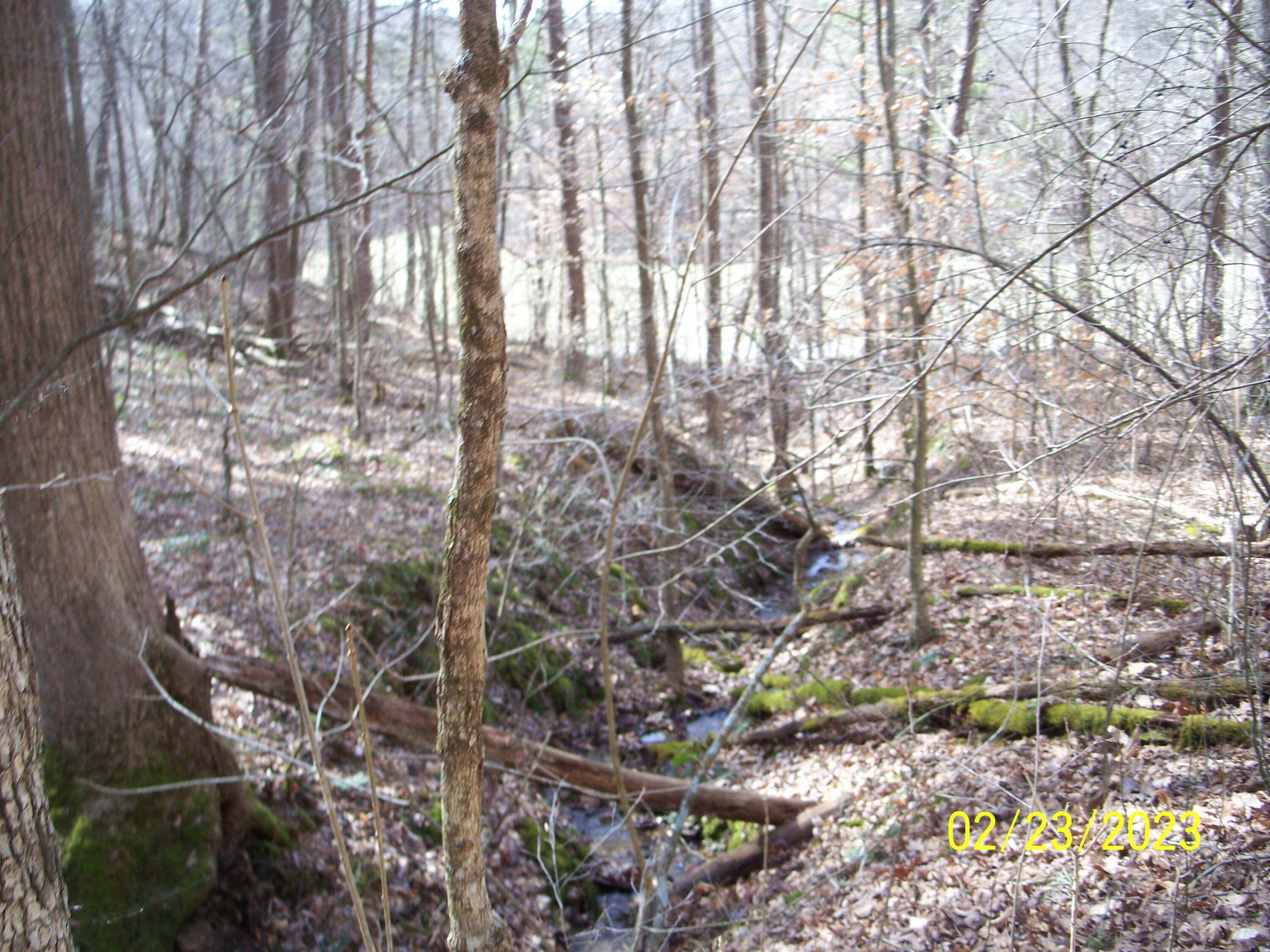 0 Ervin Hollow Road Jackson, OH 45640 - Photo 3 of 7 Erwin Hollow Road 6