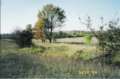 East Monroe Road Walkerville, MI 49459 - Photo 1 of 5 Primary Photo