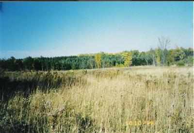 East Monroe Road Walkerville, MI 49459 - Photo 2 of 5 Additional Photo