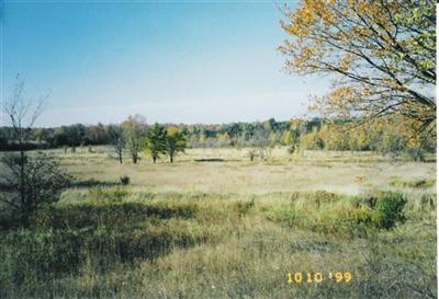 East Monroe Road Walkerville, MI 49459 - Photo 4 of 5 Additional Photo