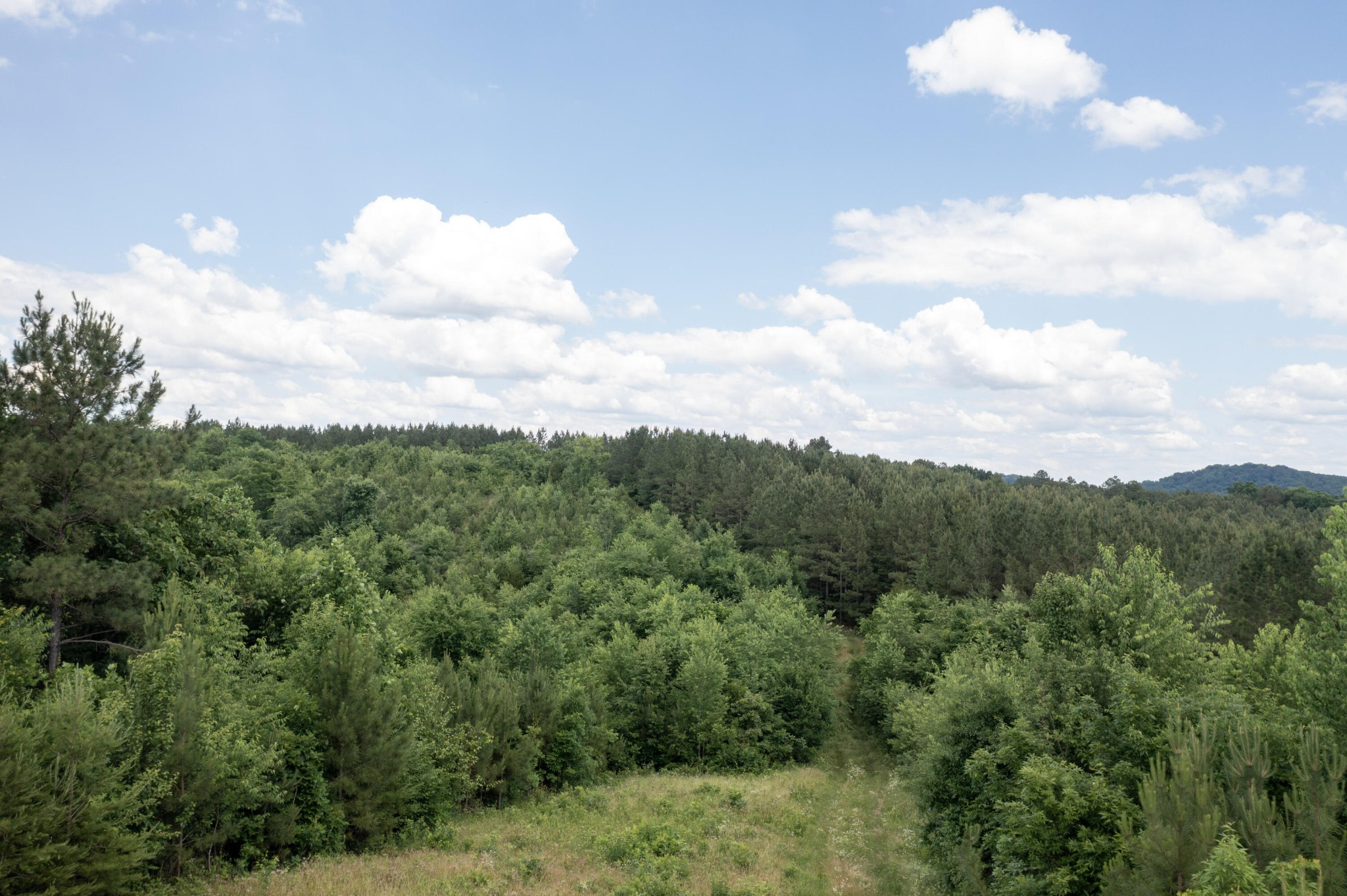 4 State Highway Calhoun, TN 37309 - Photo 16 of 22