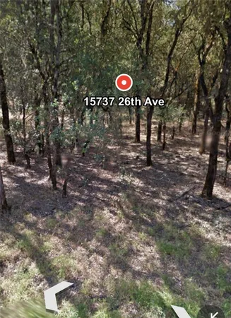 a view of a tree in a yard