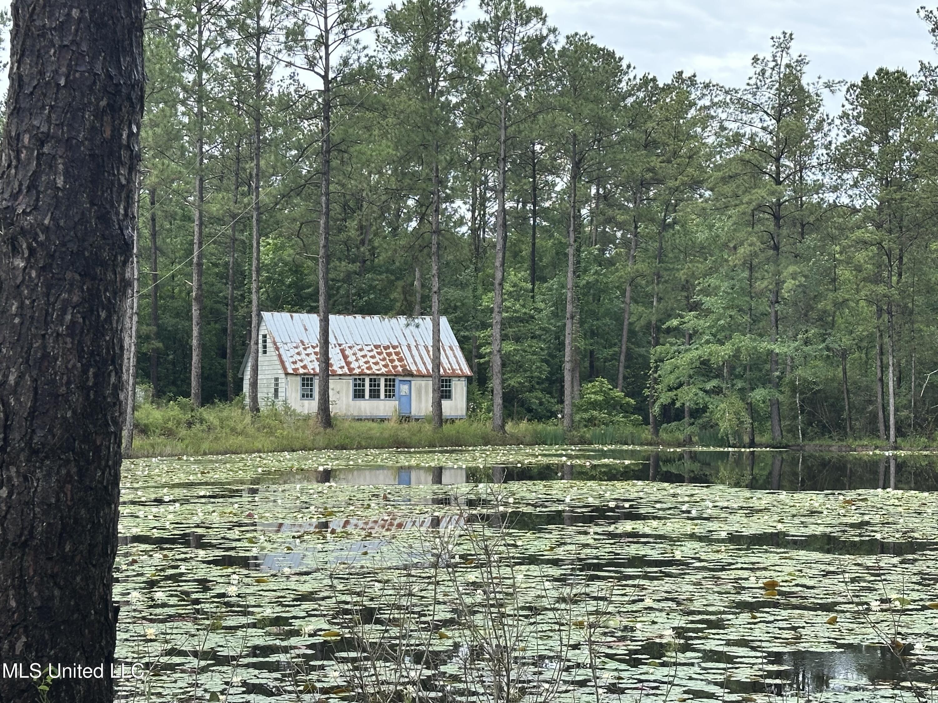 261 Tom Chance Road Poplarville, MS 39470 - Photo 4 of 23 front view