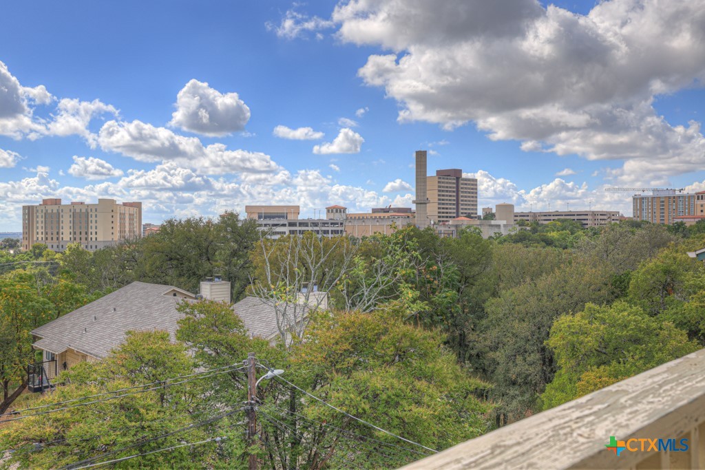 1013 Chestnut Street, Unit D San Marcos, TX 78666 - Photo 15 of 19 a view of a city