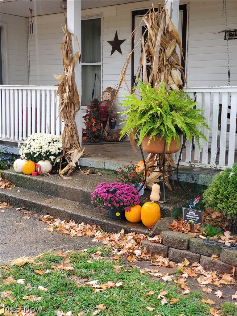 5717 Ellis Road Stockport, OH 43787 - Photo 16 of 22 Gallery Image 16