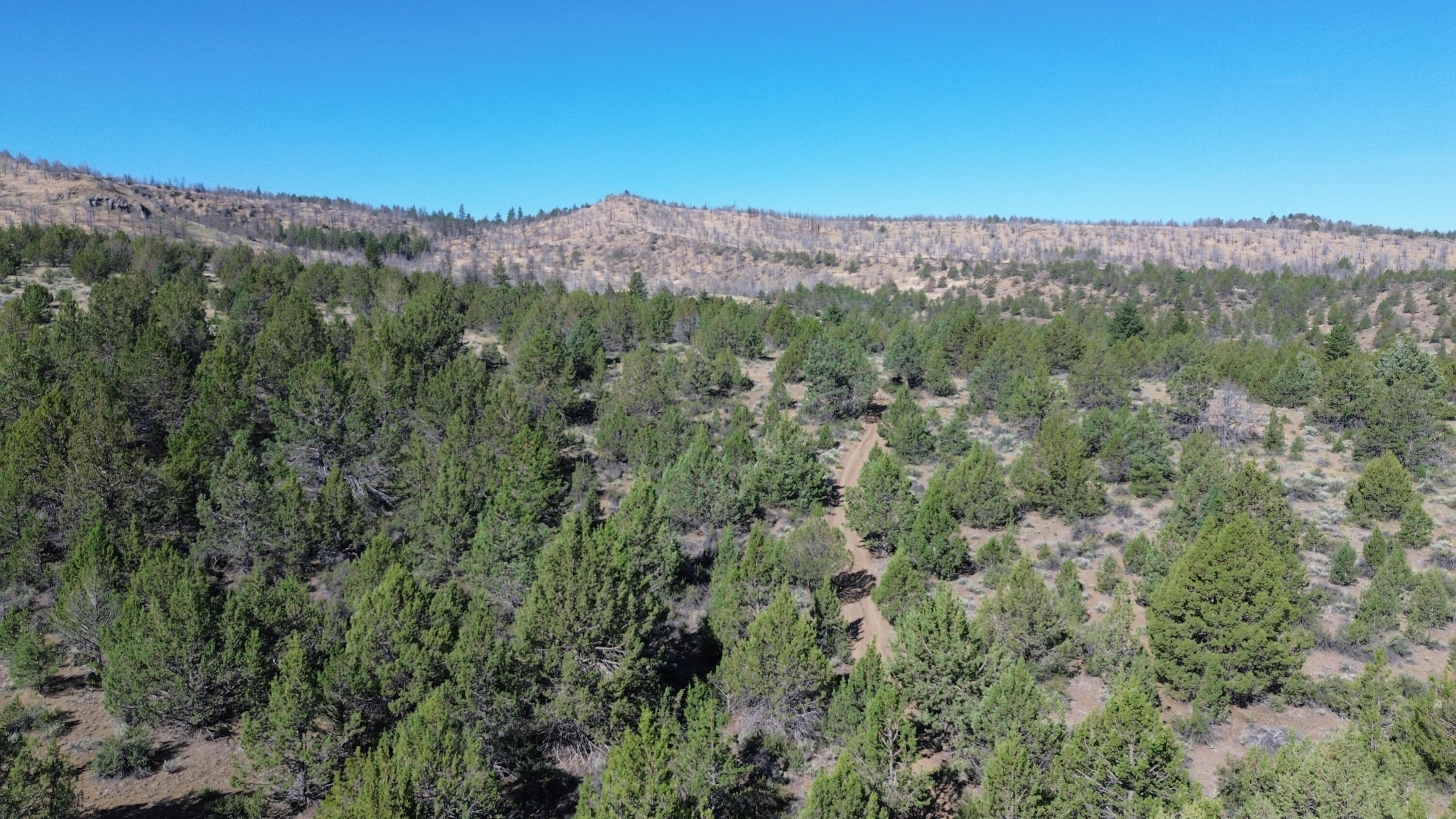 Lot 28 Butte Road Adin, CA 96006 - Photo 11 of 19 an aerial view of a city