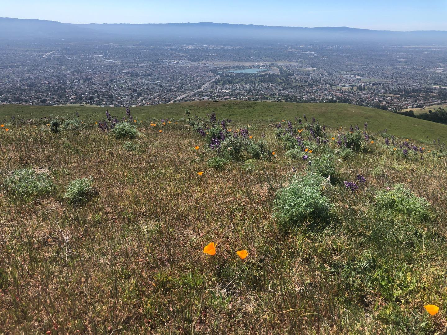 0 Higuera Road San Jose, CA 95127 - Photo 1 of 1 Gallery Image 1