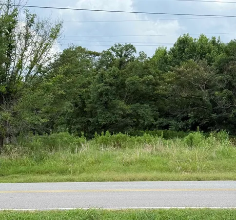 $63,000 | 5 Richardson Landing Road, Drummonds, TN 38023