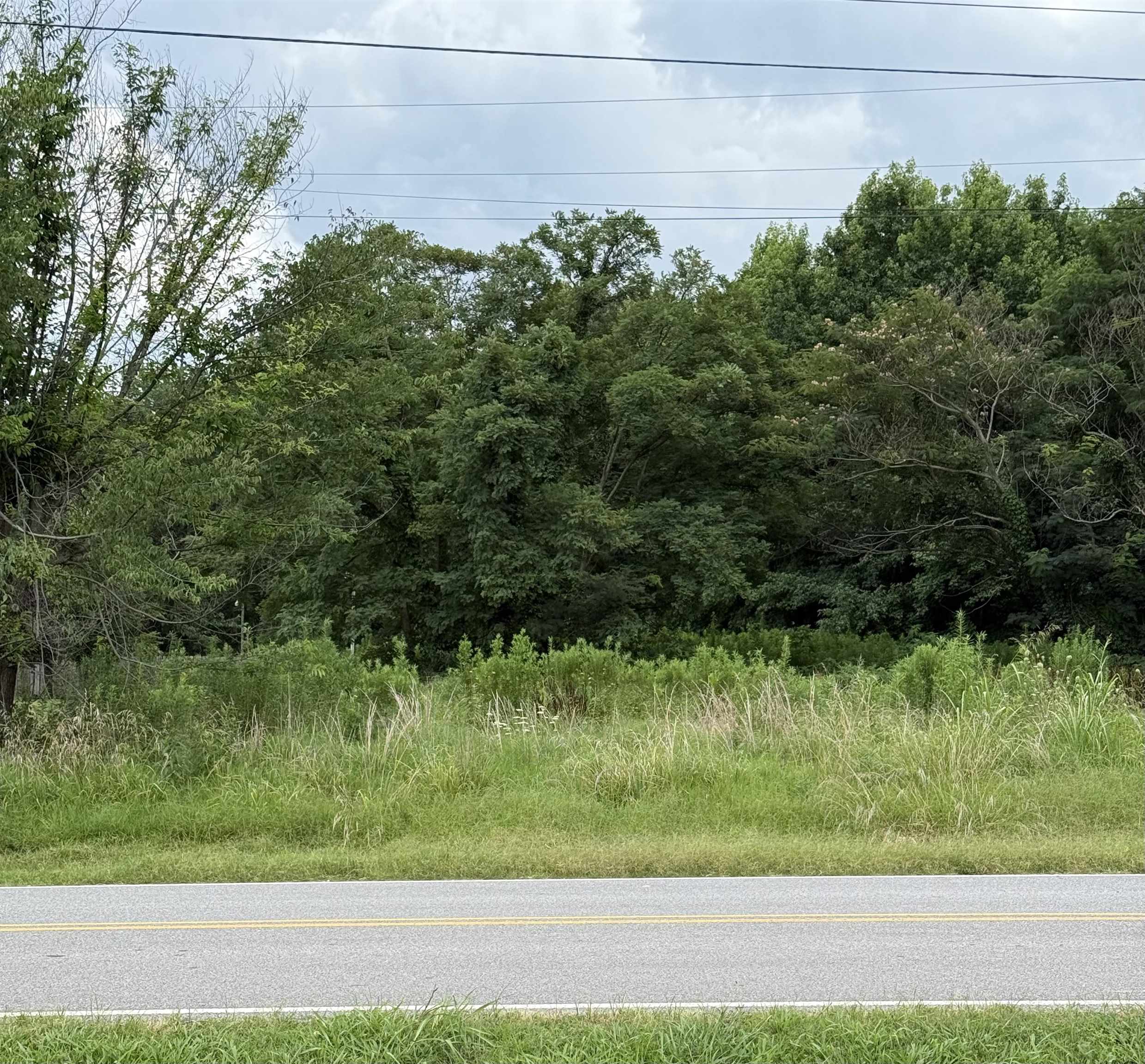 5 Richardson Landing Road Drummonds, TN 38023 - Photo 3 of 4 Thick, mature tree line offering natural privacy and a peaceful wooded setting. A great spot to tuck in a home with a forested backdrop or develop a home with a nature trail.