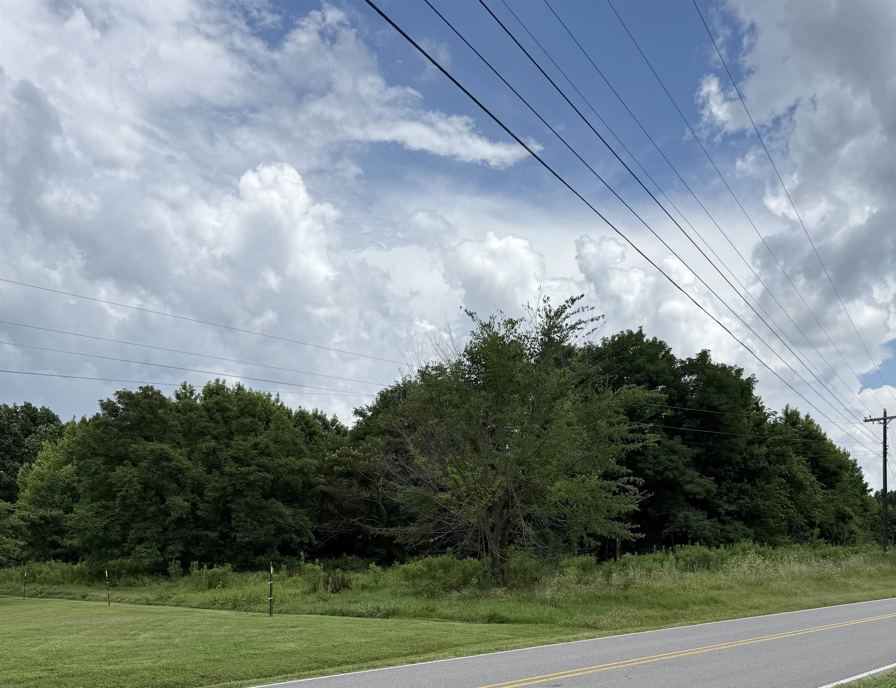 5 Richardson Landing Road Drummonds, TN 38023 - Photo 4 of 4 Wide angle view from the corner of the property showing both road access points and full width of the treeline. Ideal for visualizing driveway entrance and land boundaries.